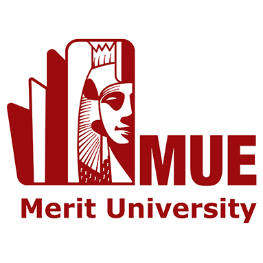 جامعة ميريت